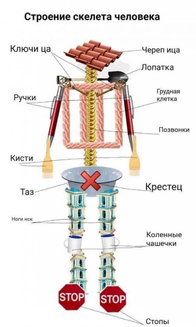 Немного забавных картинок от 23.10.2024