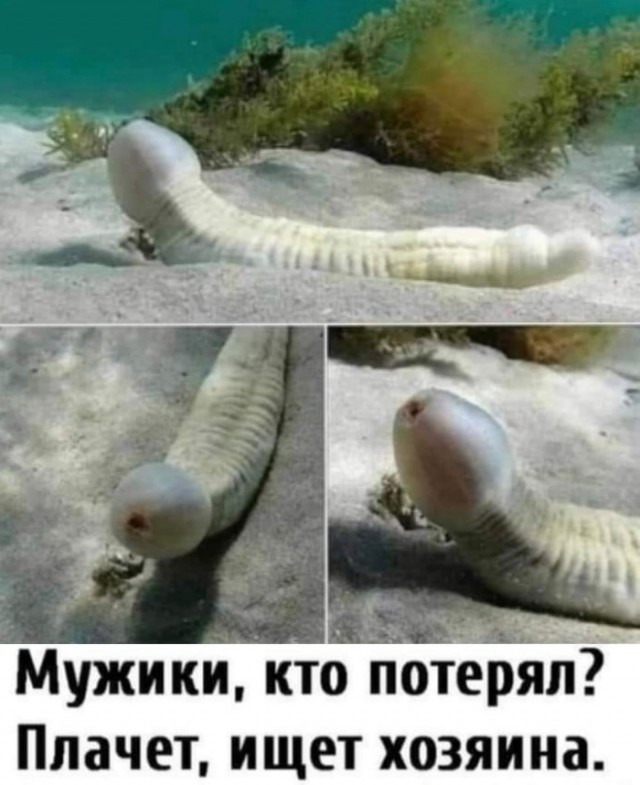 Так себе картинки 27.10.24