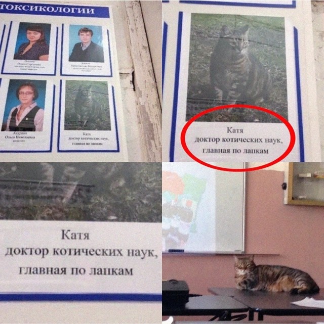 Всего понемногу. От 21.11.2024.
