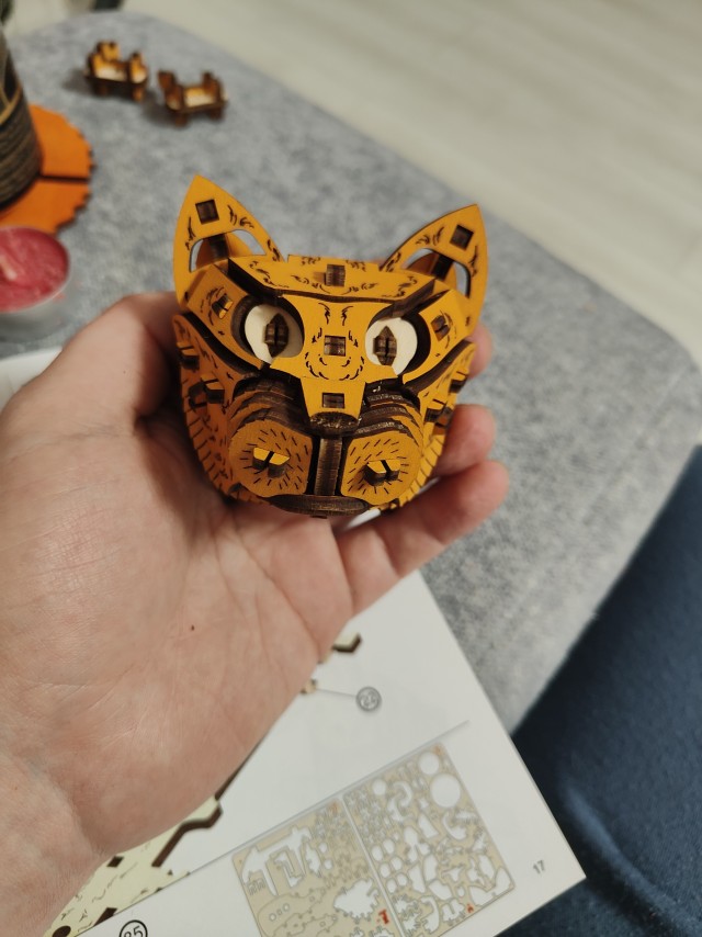 Кот кинетический