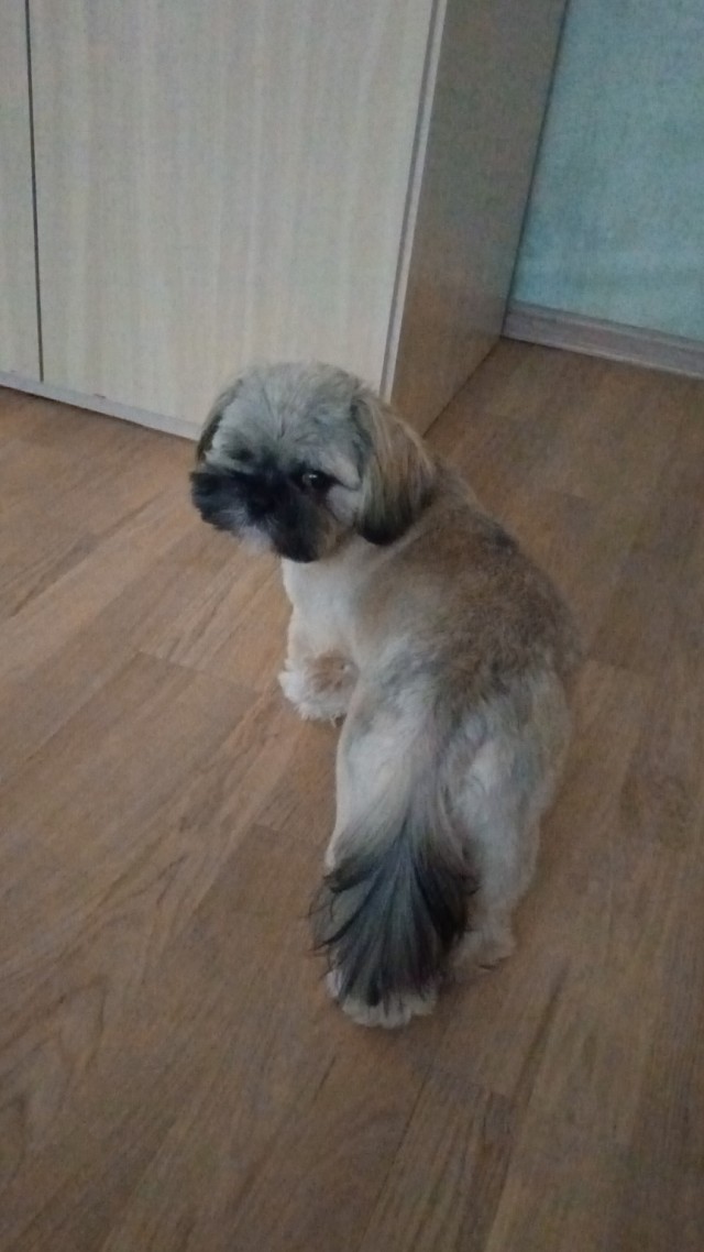 Ну а что? Мне понравилось...