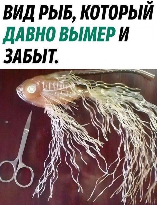 Нуштош 29.01.2025. Наблюдая за наблюдателями (s3e4)