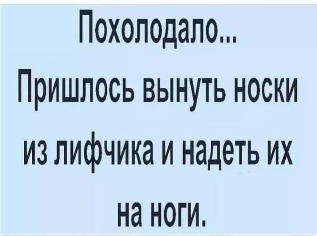 Так себе картинки 13.02.25