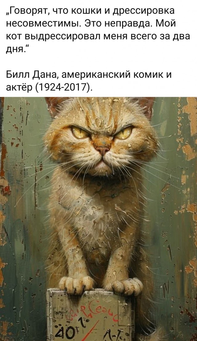 Весёлый полтишок 27.02.2025