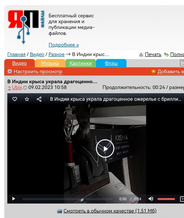 Ля ты крыса