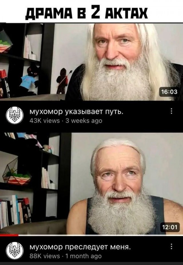 Так себе картинки 23.03.25