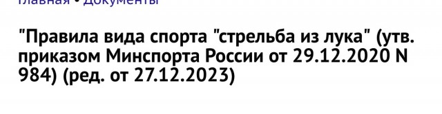 В Екатеринбурге отец в кожанке и черных очках ворвался на футбольное поле: он "спасал" сына от лучниц, которые там тренировались