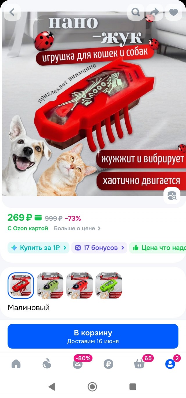 Находчивая