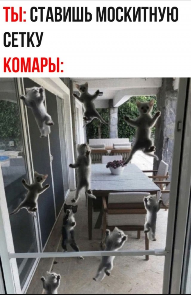 Завалялось тут случайно немного забавных картинок