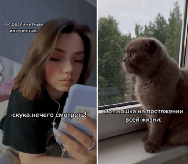 Веселые картинки в понедельник