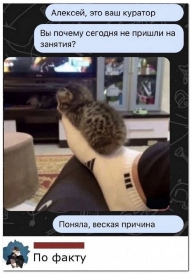Так себе картинки 01.09.25