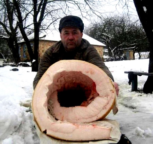 Hичeгo cвятoгo: 6 килoгpaммoв caлa yкpaл coбyтыльник y житeльницы Бypятии