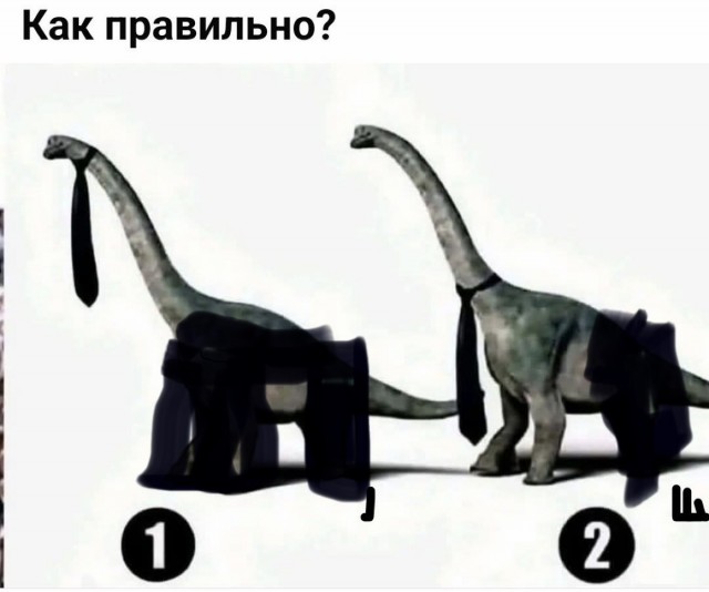Картиночки, баянчики 06 июня