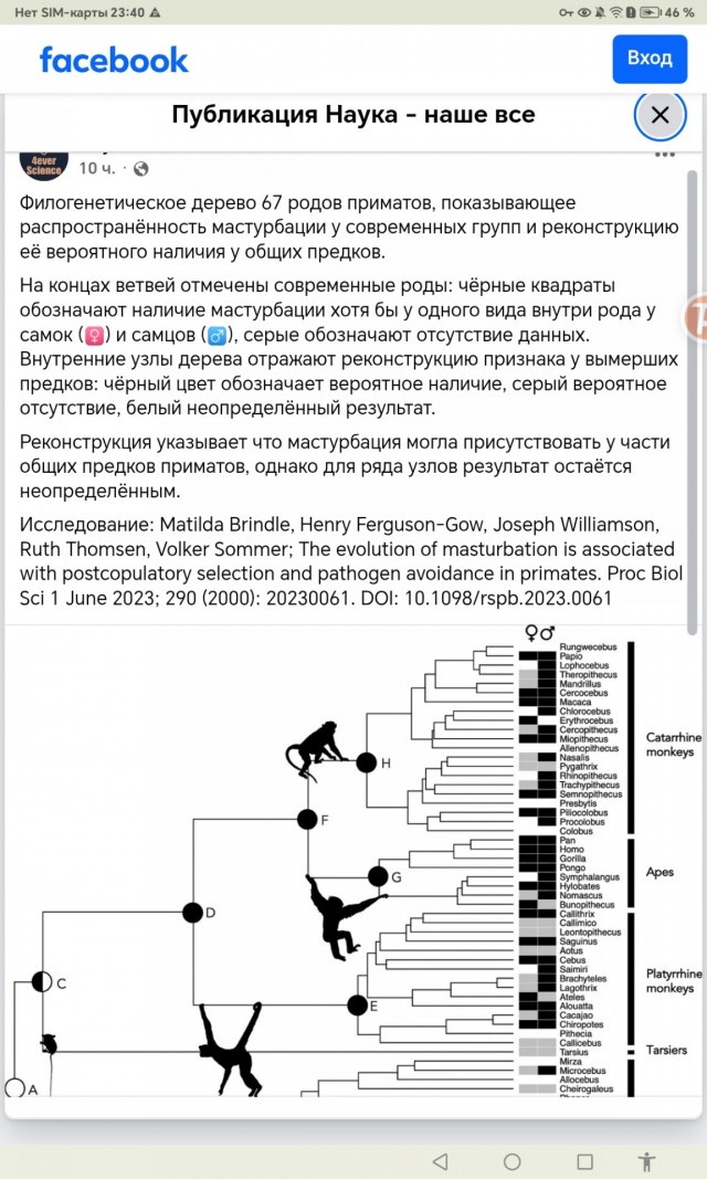 Не мешайте птицам мастурбировать!!!
