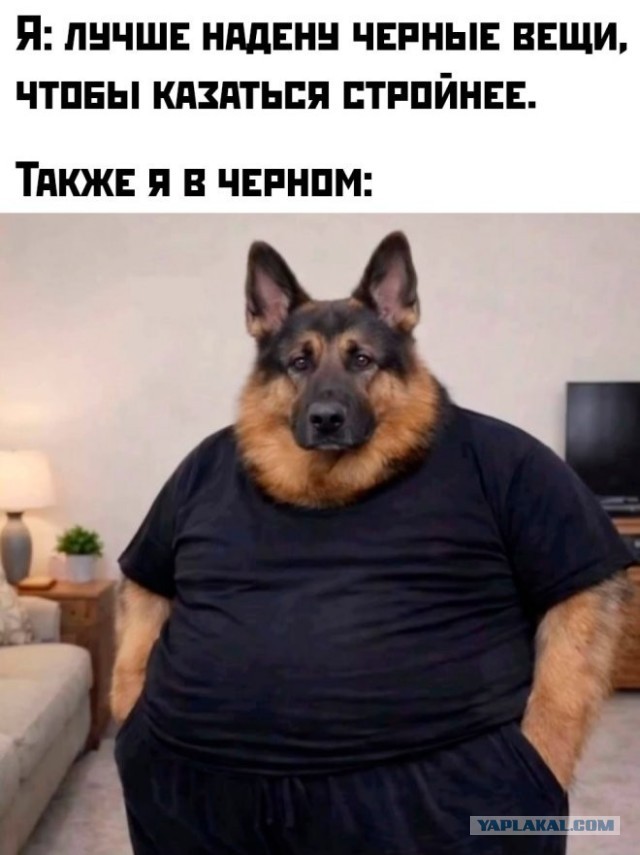 Картинки для настроения