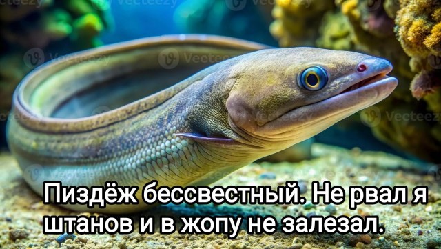 В задний проход любителя рыбалки забрался угорь длиной 65 сантиметров