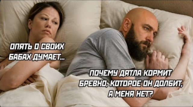 Картинки для деградации 266 (разной степени свежести)