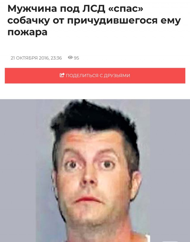 В Чехии мужчина обнаружил «раненую» косулю, вызвал полицию и час наблюдал за ней. Оказалось, она была деревянной