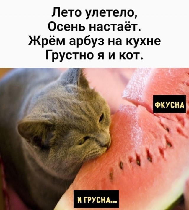 Так себе картинки 03.09.26