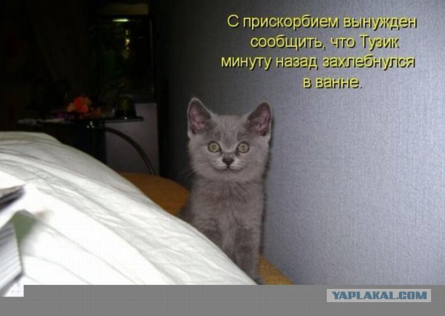 Не про олимпиаду