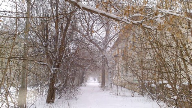 Деревенская Америка