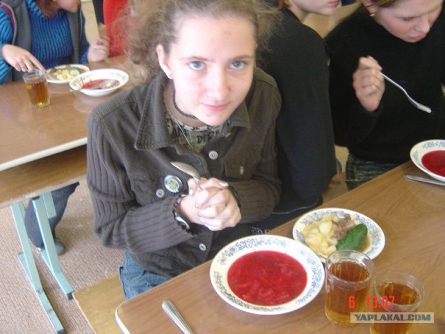 Чем кормят детей в школах разных стран?