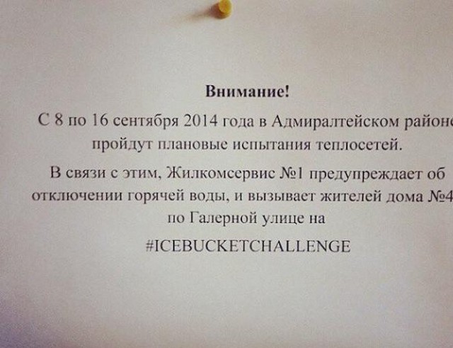 Пятница, картинки для поднятия настроения