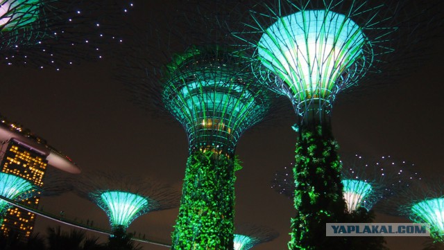 Сингапур. Гостиница "Марина Бэй"