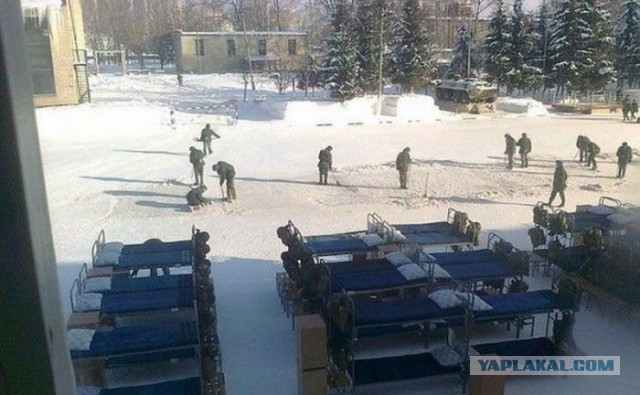Друг скинул фото из армии