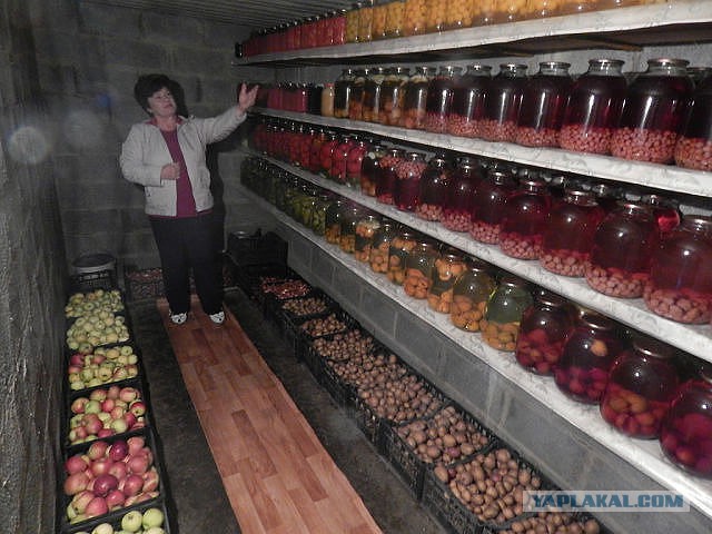 К зиме готовы !