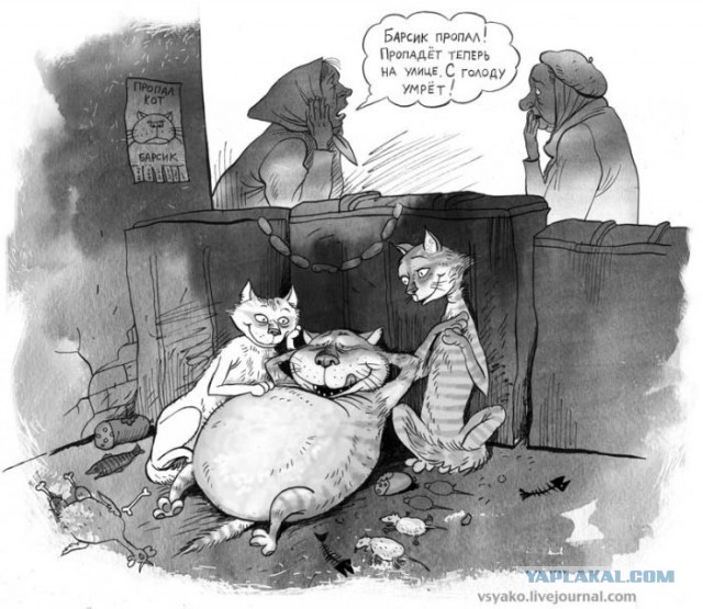 Смешные картинки