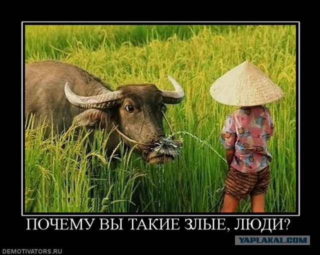 Она добилась своего....
