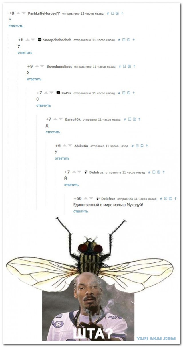Смешные комментарии из социальных сетей
