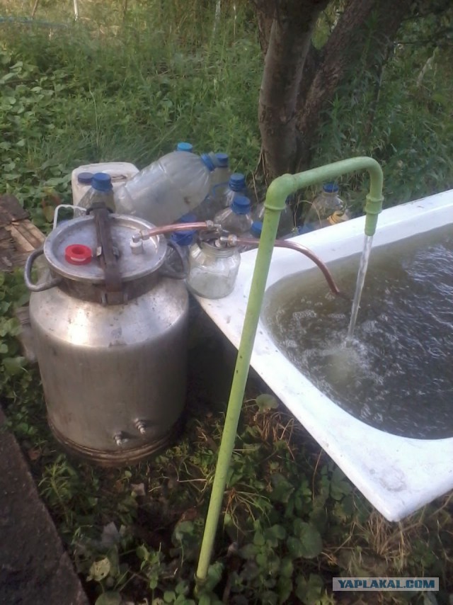 Самогонщики, принимайте в свой клан