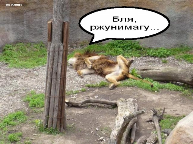 Уж накрыло так накрыло!..