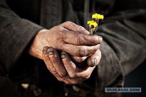 Русские Работяги