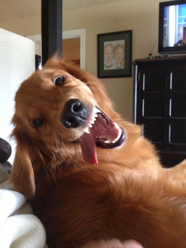 Подборка интересных и веселых картинок