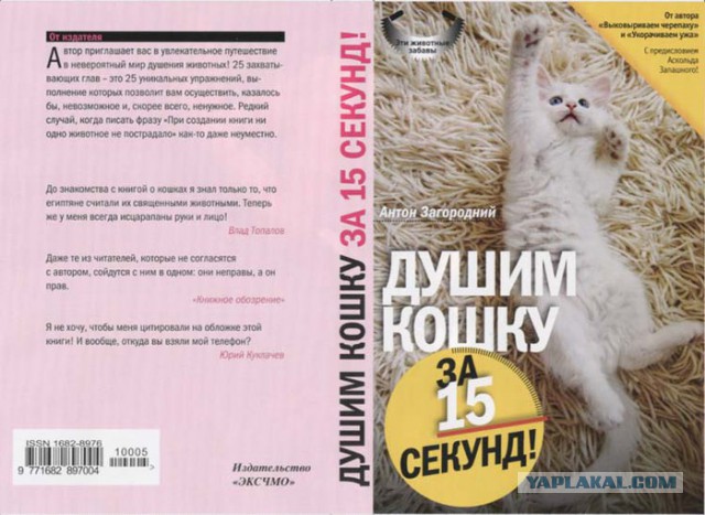 Несколько картинок от меня
