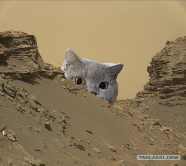 Получены первые цветные фото марсианских скал с зонда Curiosity.
