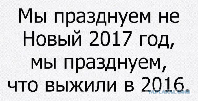 Как вы будете отмечать новый год?