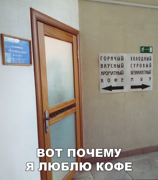 Прикольные картинки обо всём