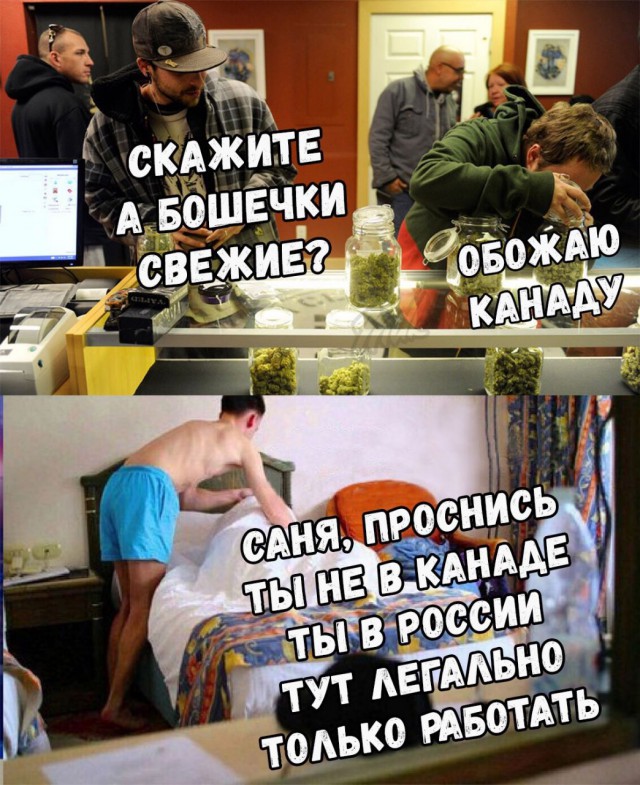 Сотка