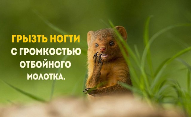 Привычки, которые действуют на окружающих как красная тряпка на быка