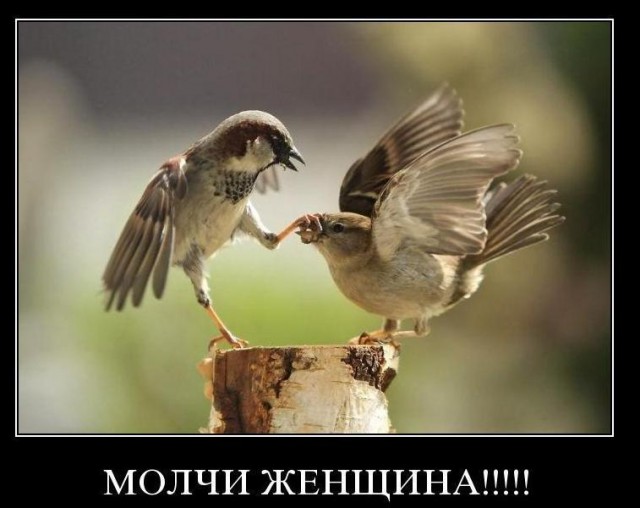 Бредзона 17.07.2020