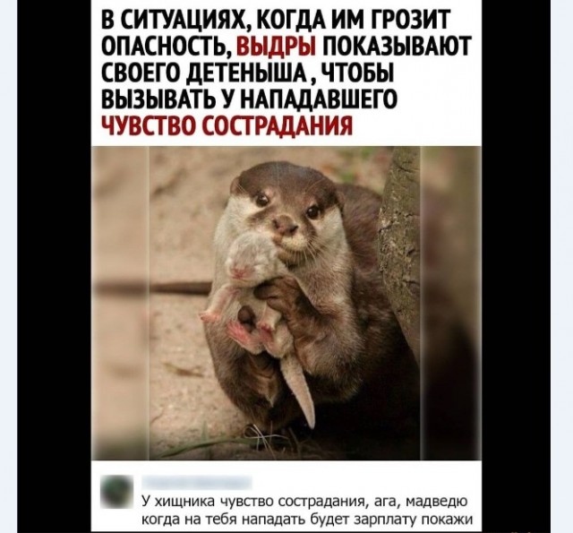 Бредзона 22.12.20