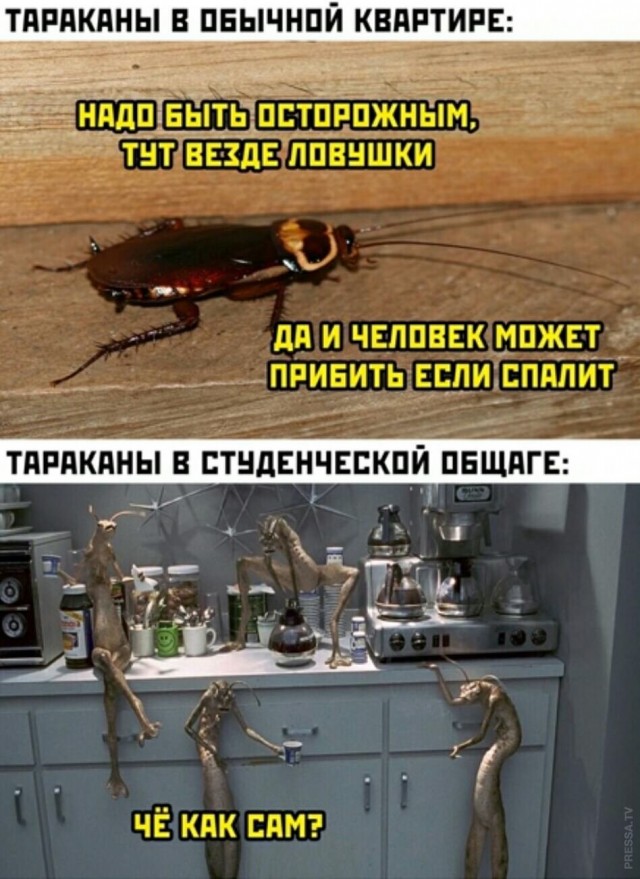 Картинки и мемы для настроения 019
