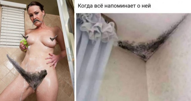 Бредзона 31.01.21