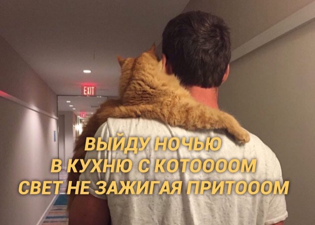Так себе картинки 12.02.21