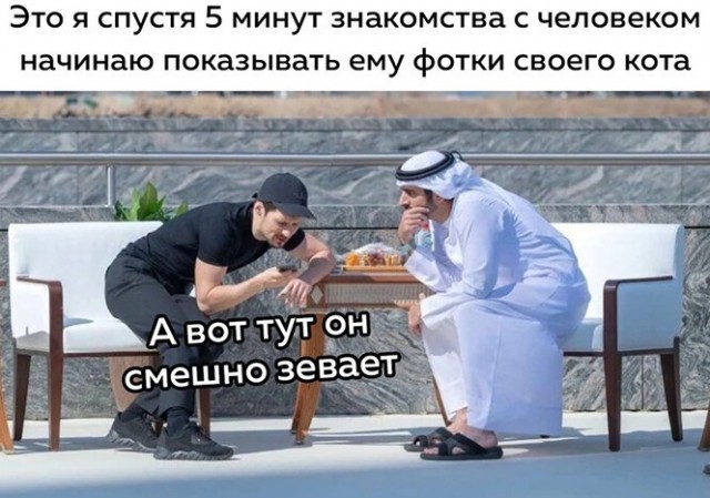 Баянисто-небаянистый юмор 17.02.21
