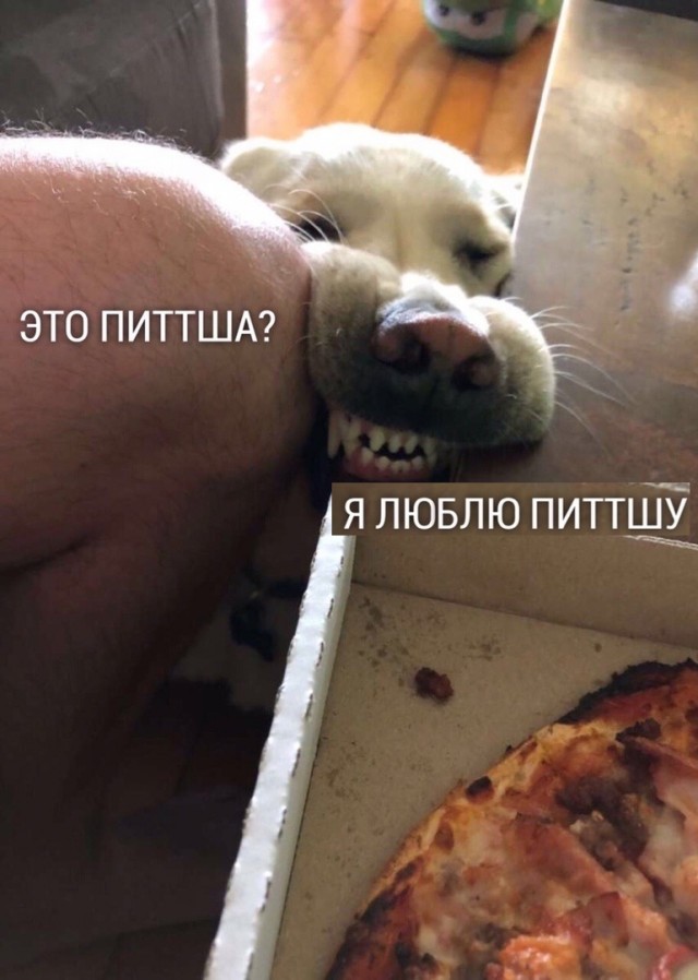 Так себе картинки 21.04.21
